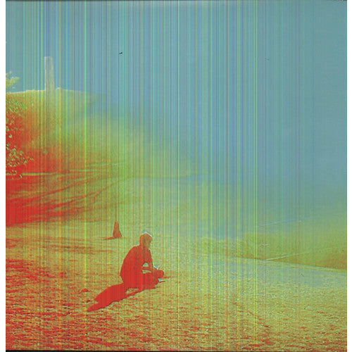 The Flaming Lips - The Terror - LP [ Record ]