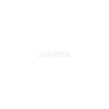 Childish Gambino - Atavista - LP [ Record ]