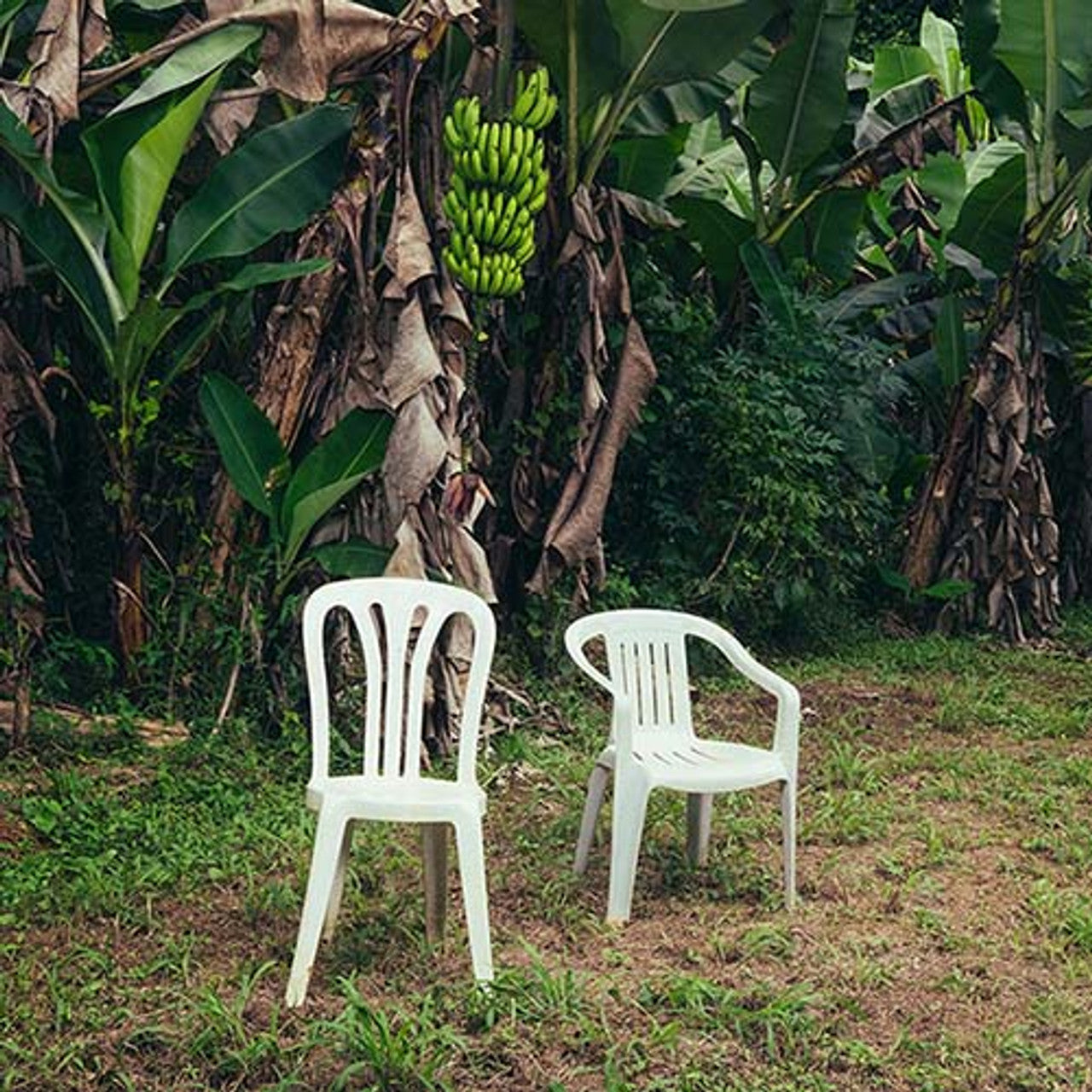 Bad Bunny - Debi Tirar Mas Fotos - LP [ Record ]