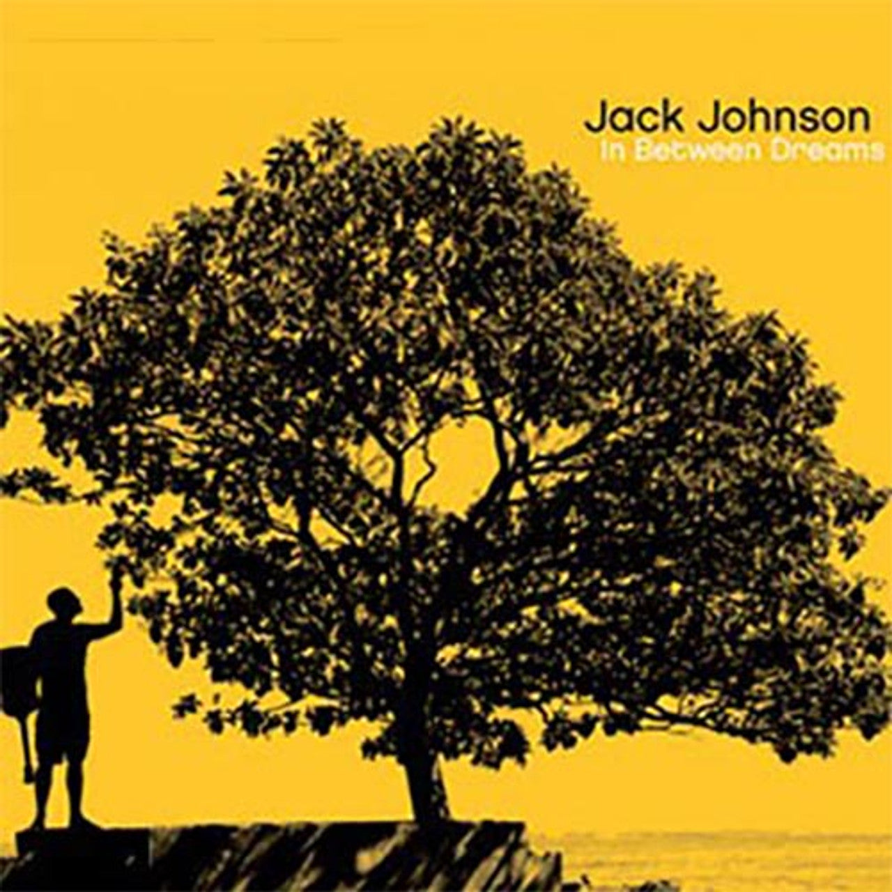 Jack Johnson - In Between Dreams (Limited Edition) - LP [ Record ]