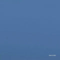 New Order - Be A Rebel - 12" EP (With Cosmetic Damage) [ Record ]
