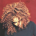 Janet Jackson - The Velvet Rope - LP [ Record ]
